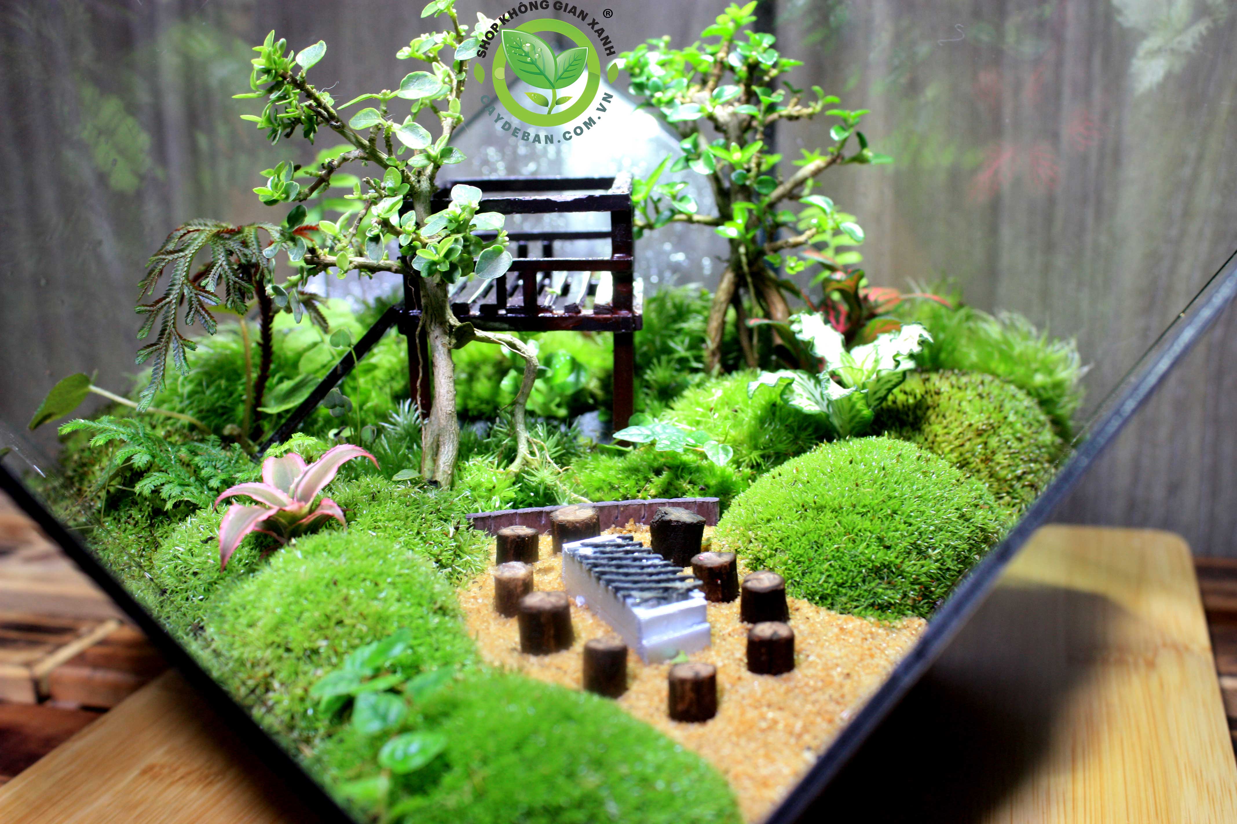 Terrarium Đa Giác T24.1 Home garden